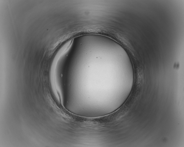 X0000111030681200907091545