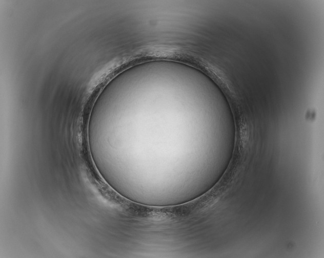 X0000111030682200907091545