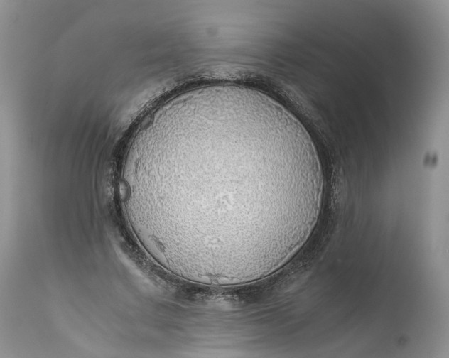 X0000111030683200907091545