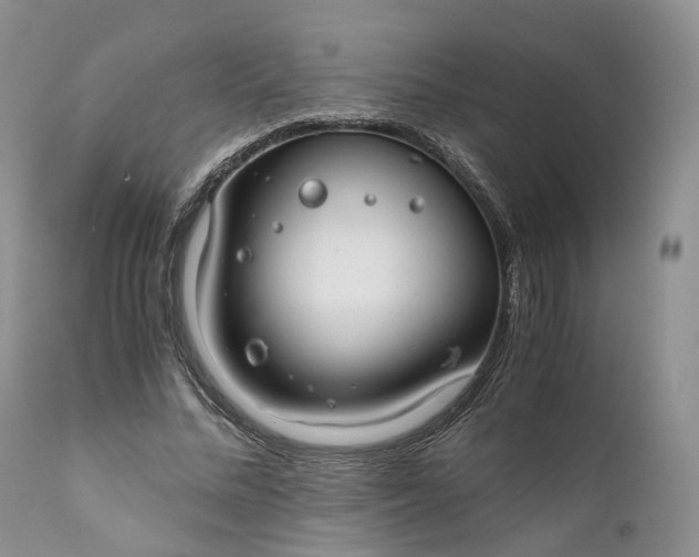 X0000111030684200907091545