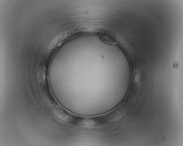 X0000111030685200907091545
