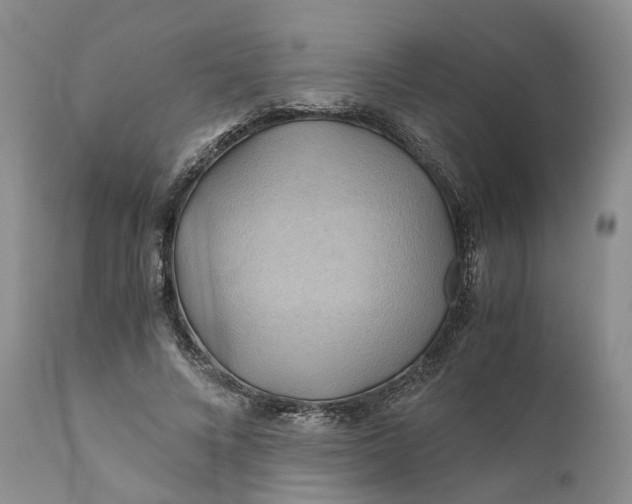 X0000111030688200907091545