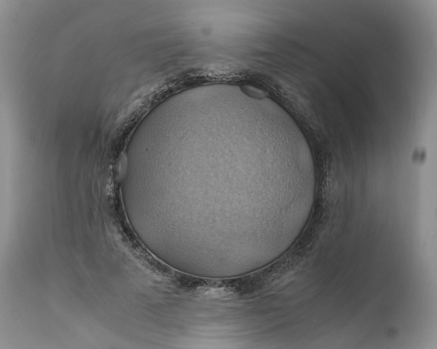 X0000111030689200907091545