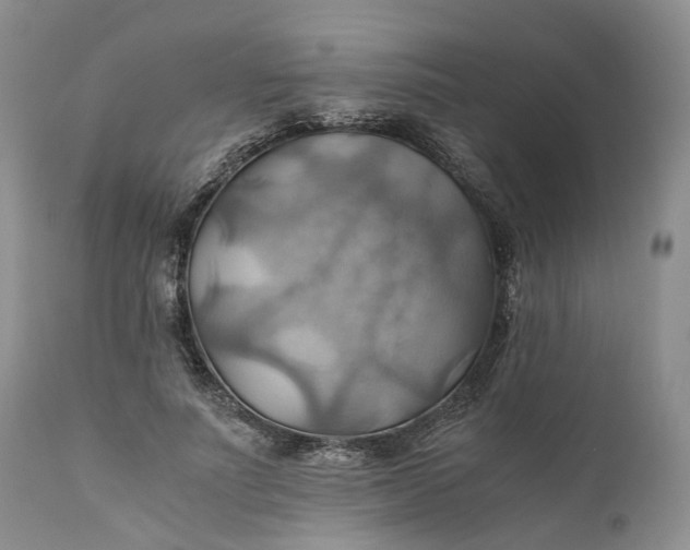 X0000111030691200907091545