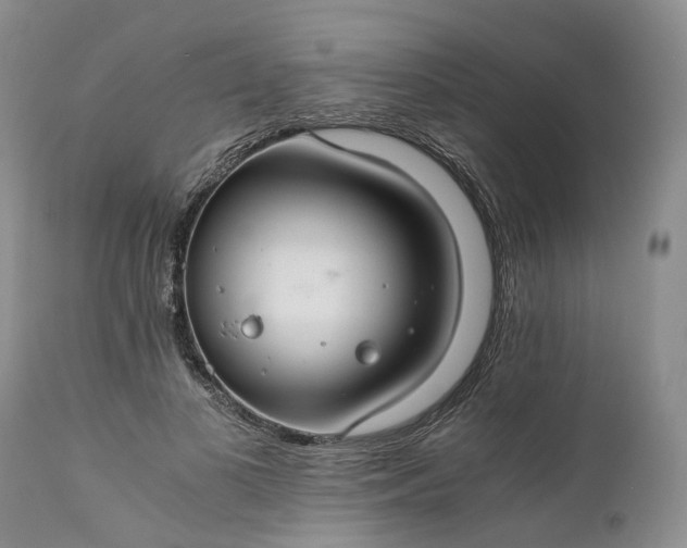 X0000111030693200907091545