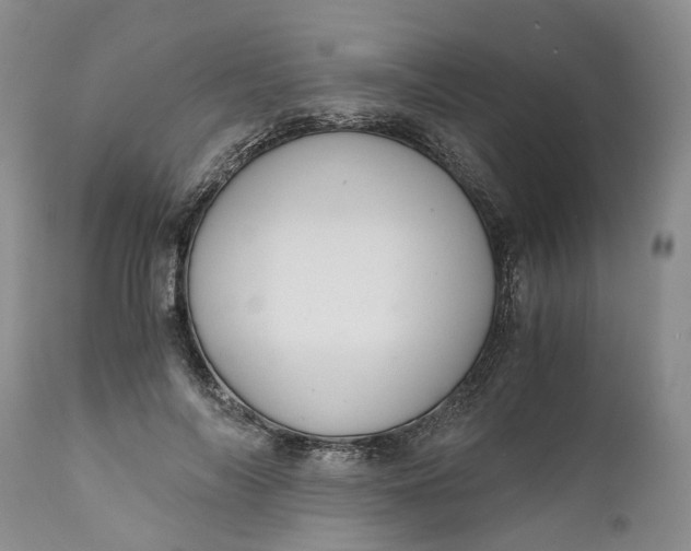 X0000111030694200907091545