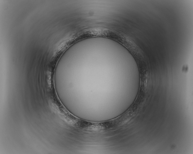 X0000111030696200907091545
