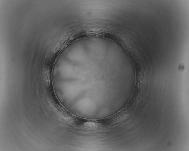 X0000111030699200907091545