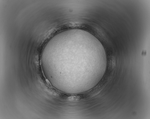 X0000111030700200907091545
