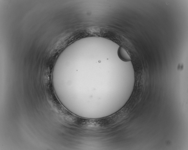 X0000111030702200907091545