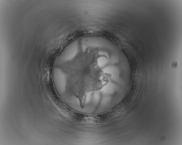 X0000111030703200907091545