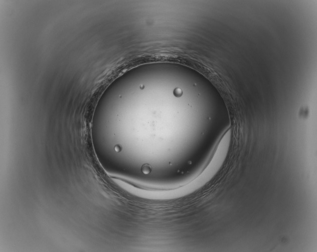 X0000111030704200907091545