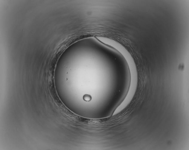 X0000111030705200907091545