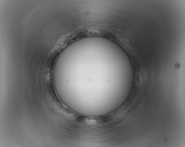 X0000111030706200907091545