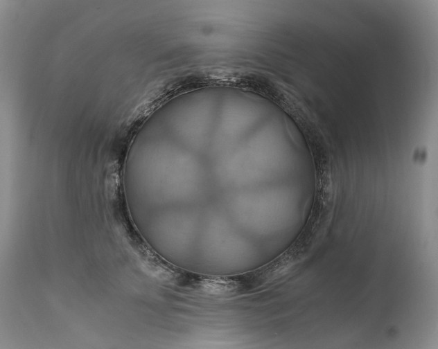 X0000111030707200907091545