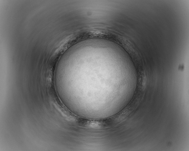 X0000111030710200907091545