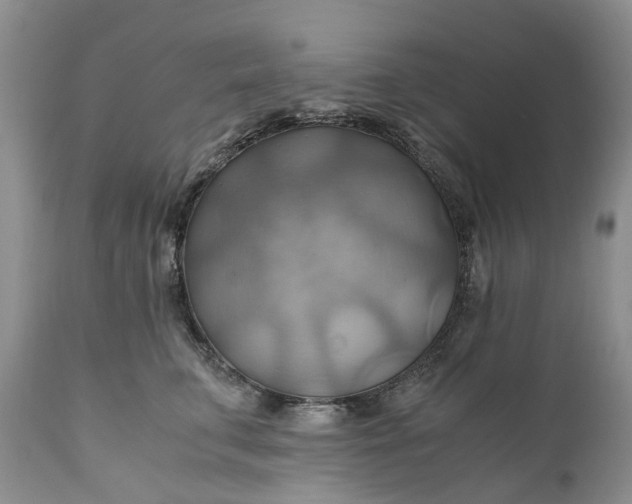 X0000111030711200907091545