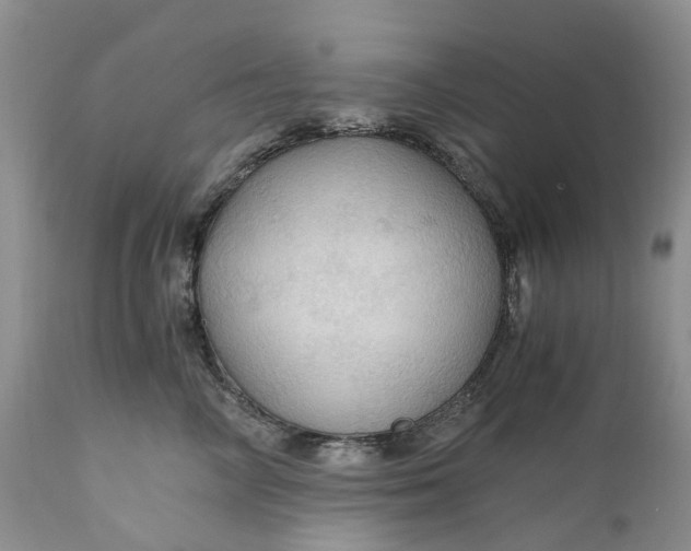 X0000111030714200907091545