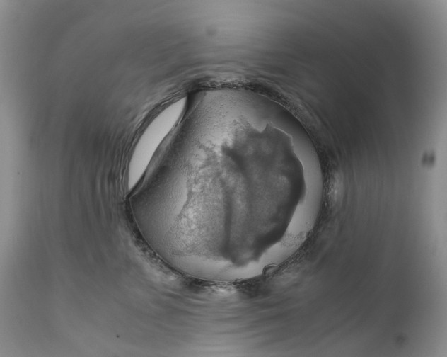 X0000111030715200907091545