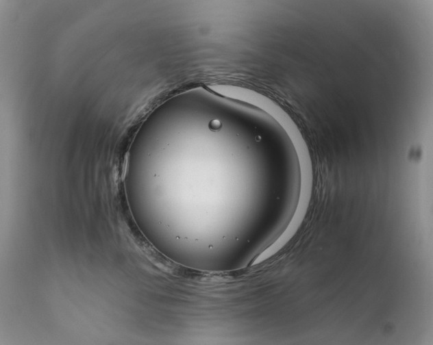 X0000111030716200907091545