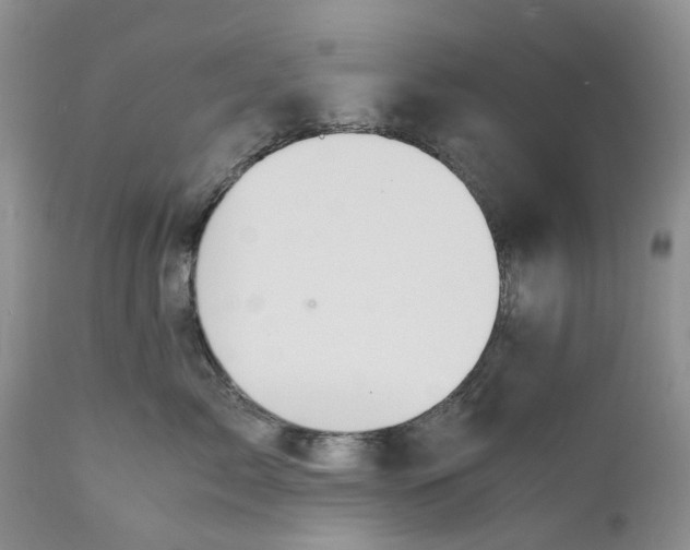 X0000111030717200907091545