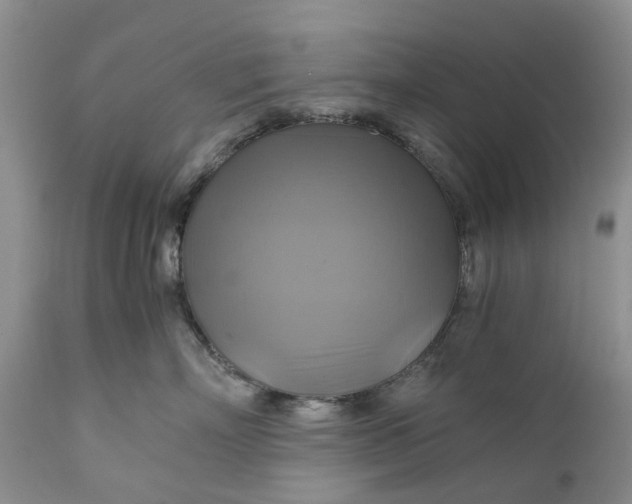 X0000111030718200907091545