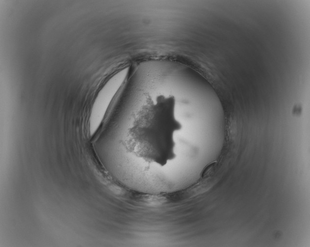 X0000111030719200907091545