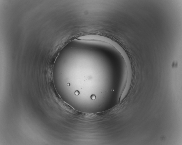 X0000111030720200907091545