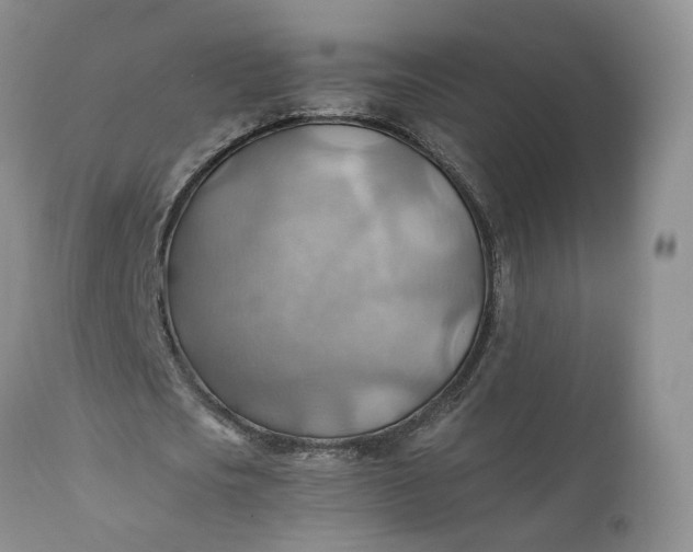 X0000111030721200907091544