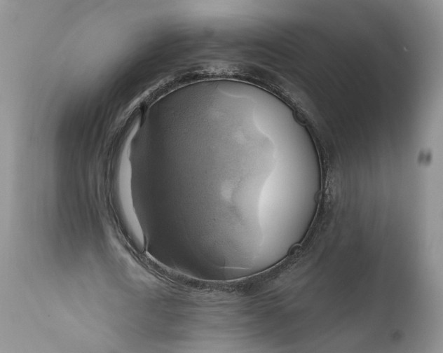 X0000111030722200907091544