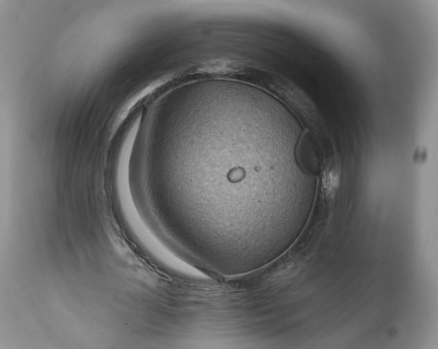 X0000111030724200907091544