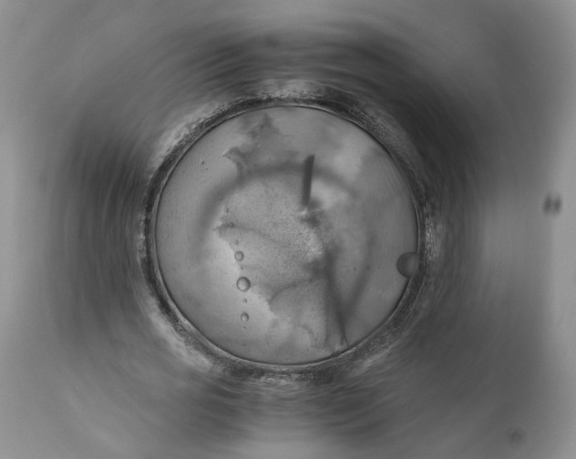 X0000111030725200907091544
