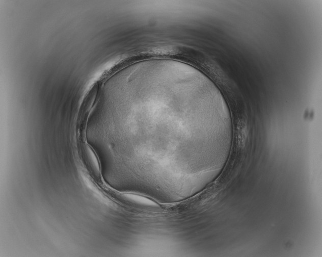 X0000111030726200907091544