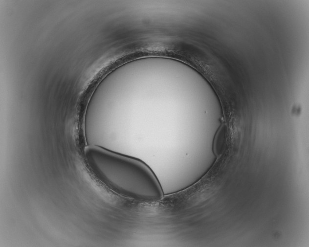 X0000111030728200907091544