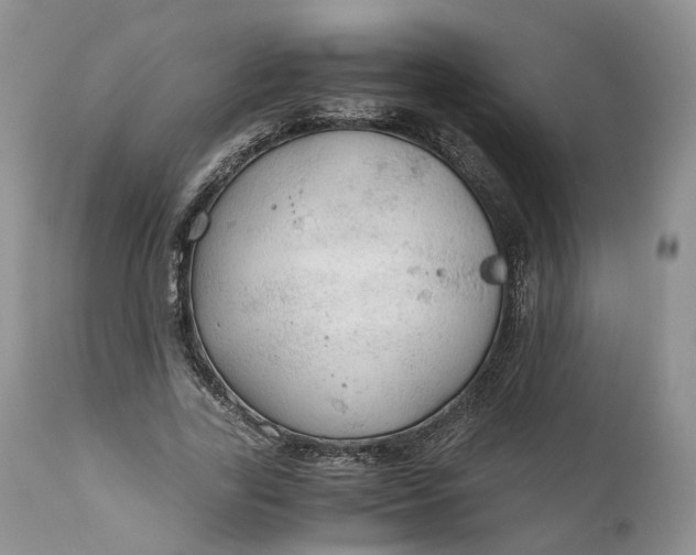 X0000111030731200907091544