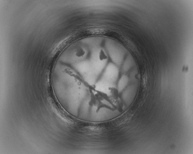 X0000111030733200907091544