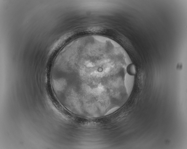 X0000111030734200907091544