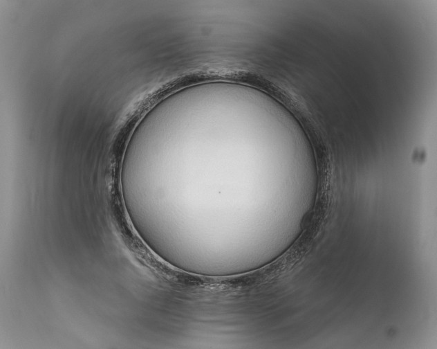 X0000111030736200907091544