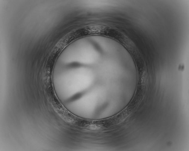 X0000111030737200907091544