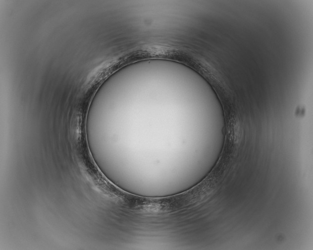 X0000111030740200907091544