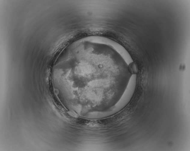 X0000111030742200907091545