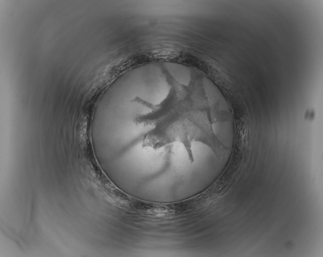 X0000111030745200907091545