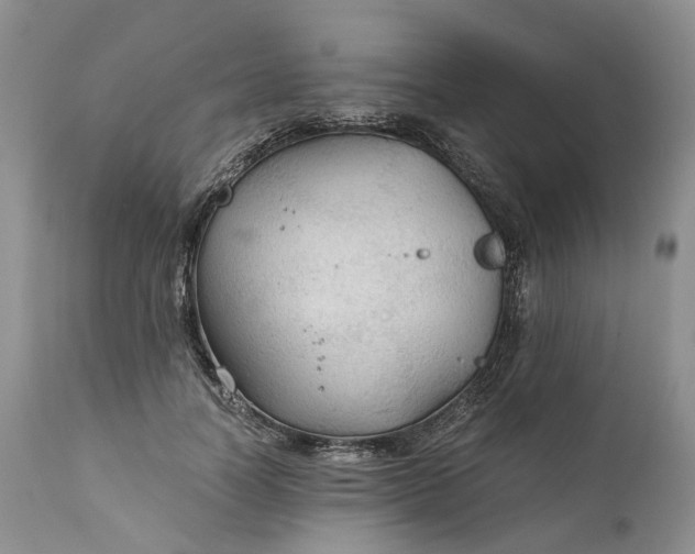X0000111030746200907091545