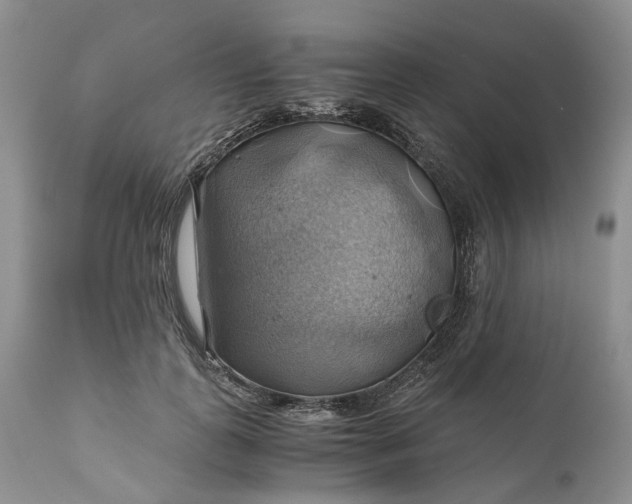 X0000111030747200907091545
