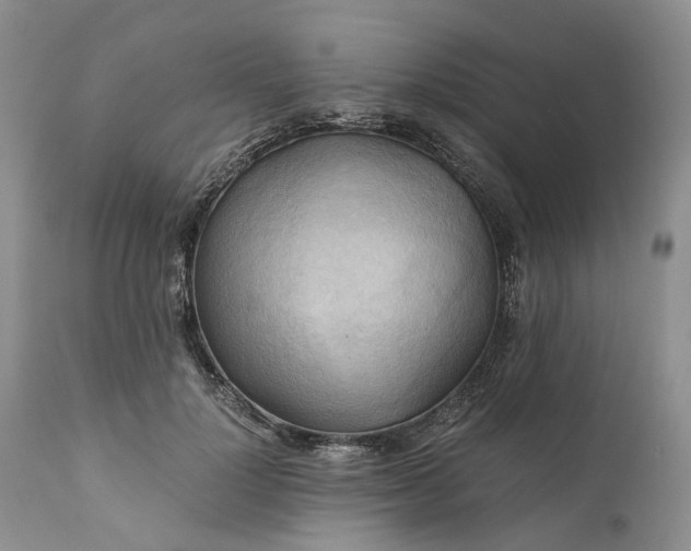 X0000111030748200907091545