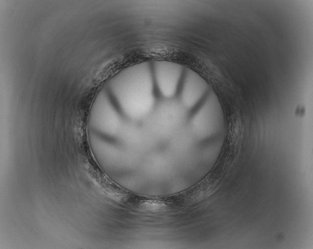 X0000111030749200907091545