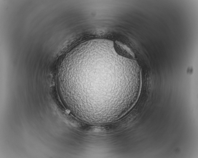 X0000111030750200907091545