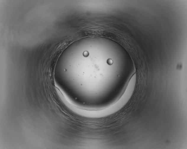 X0000111030752200907091545