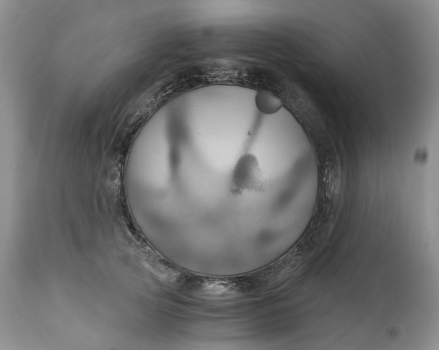 X0000111030753200907091545
