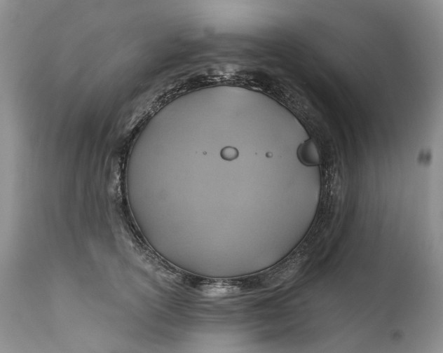X0000111030754200907091545